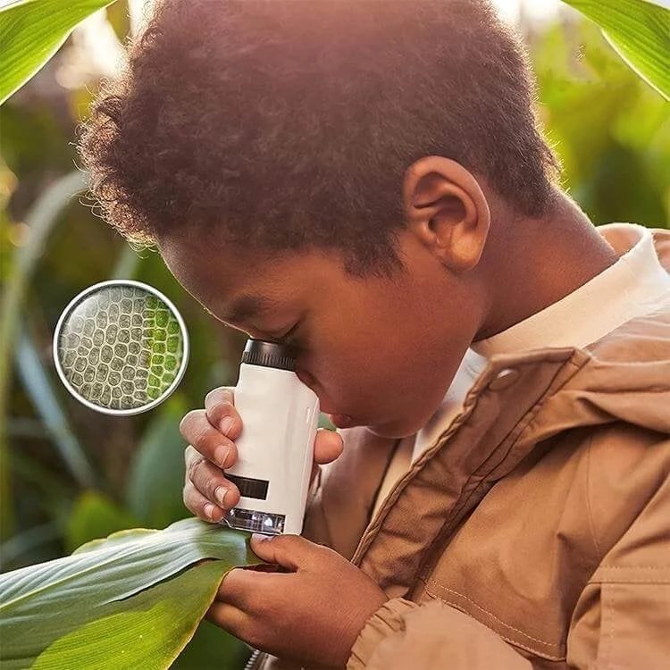 (🔥LAST DAY 50% OFF) Kid's Portable Pocket Microscope With Adjustable Zoom 60-120x
