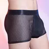 Men's Silky Skin-Friendly Boxer Briefs &ndash; Sexy Ultra-Thin Sheer Striped Underwear
