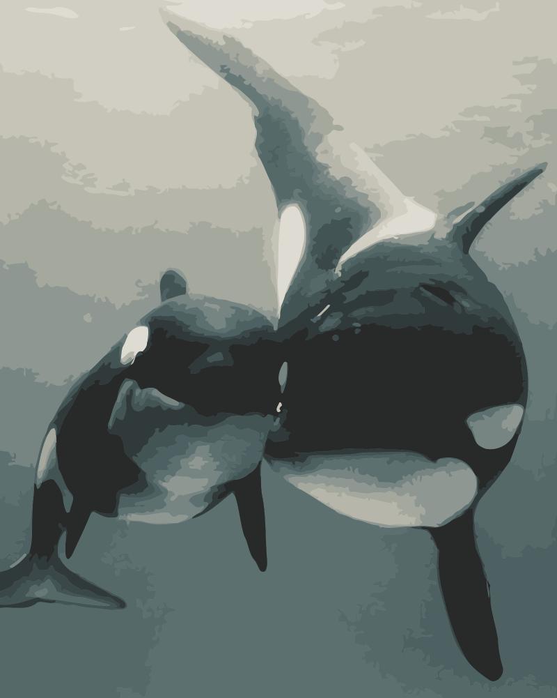 

Whale Mother And Child – Paint By Numbers - 40*50CM, 501 Original