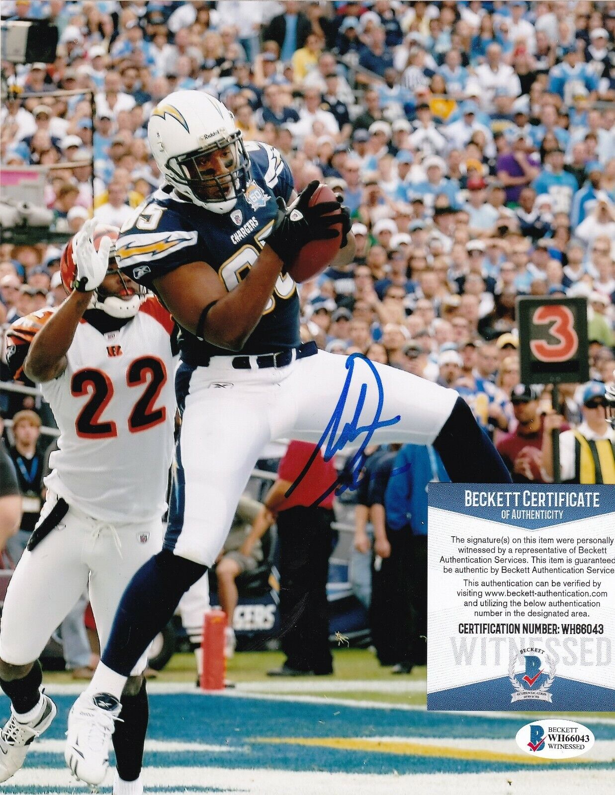 ANTONIO GATES SAN DIEGO CHARGERS BECKETT AUTHENTICATED ACTION SIGNED 8X10