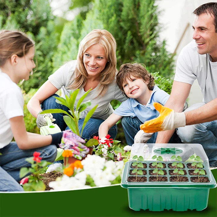 Mini Greenhouse Nursery Tray（50% OFF）