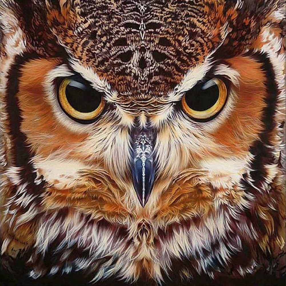 

Owl - Round Drill Diamond Painting - 40*40CM, 501 Original