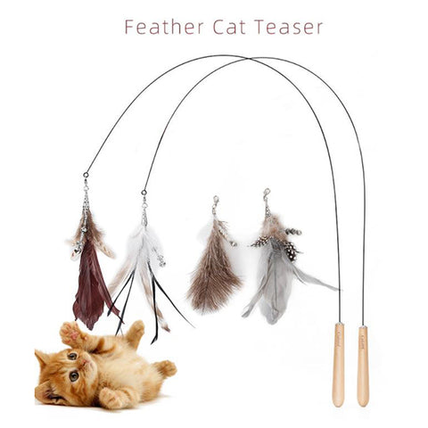 cat stick