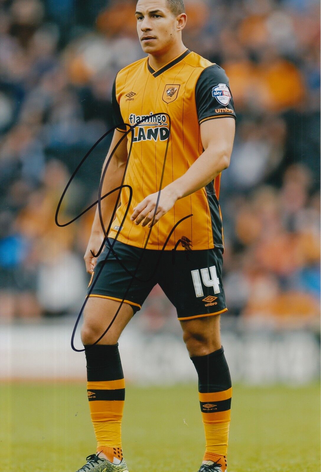 HULL CITY HAND SIGNED JAKE LIVERMORE 12X8 Photo Poster painting.