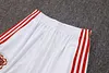 Joyfball 2025/2026 Bayern Munich Half-Pull Training Suit 125-Year Anniversary Football Shirt 1:1 Thai Quality