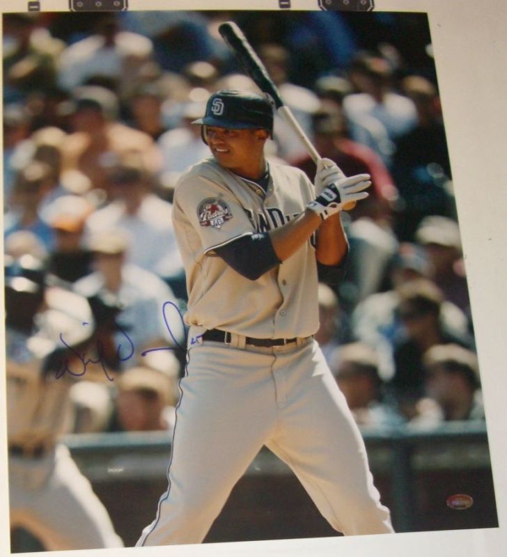 Will Venable Signed Padres Baseball 16x20 Photo Poster painting PSA/DNA COA Picture Autograph 1