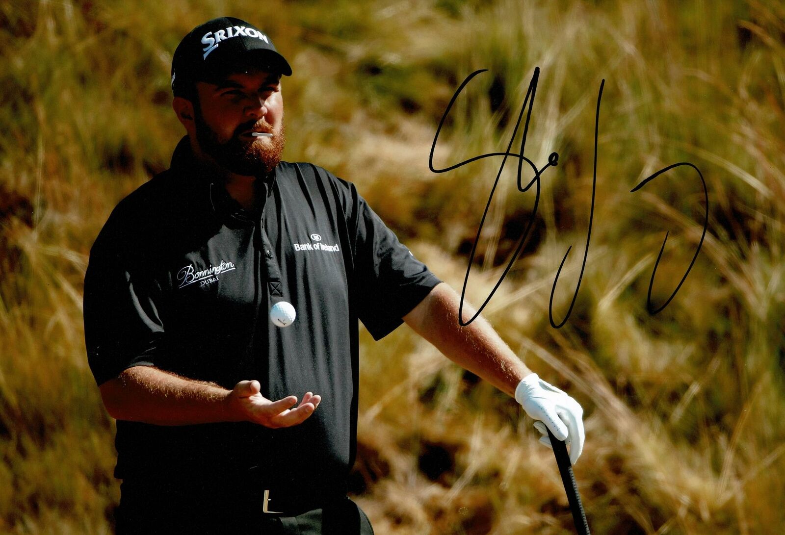 Shane Lowry Signed 12X8 Photo Poster painting Genuine Signature Open Champion AFTAL COA (3152)