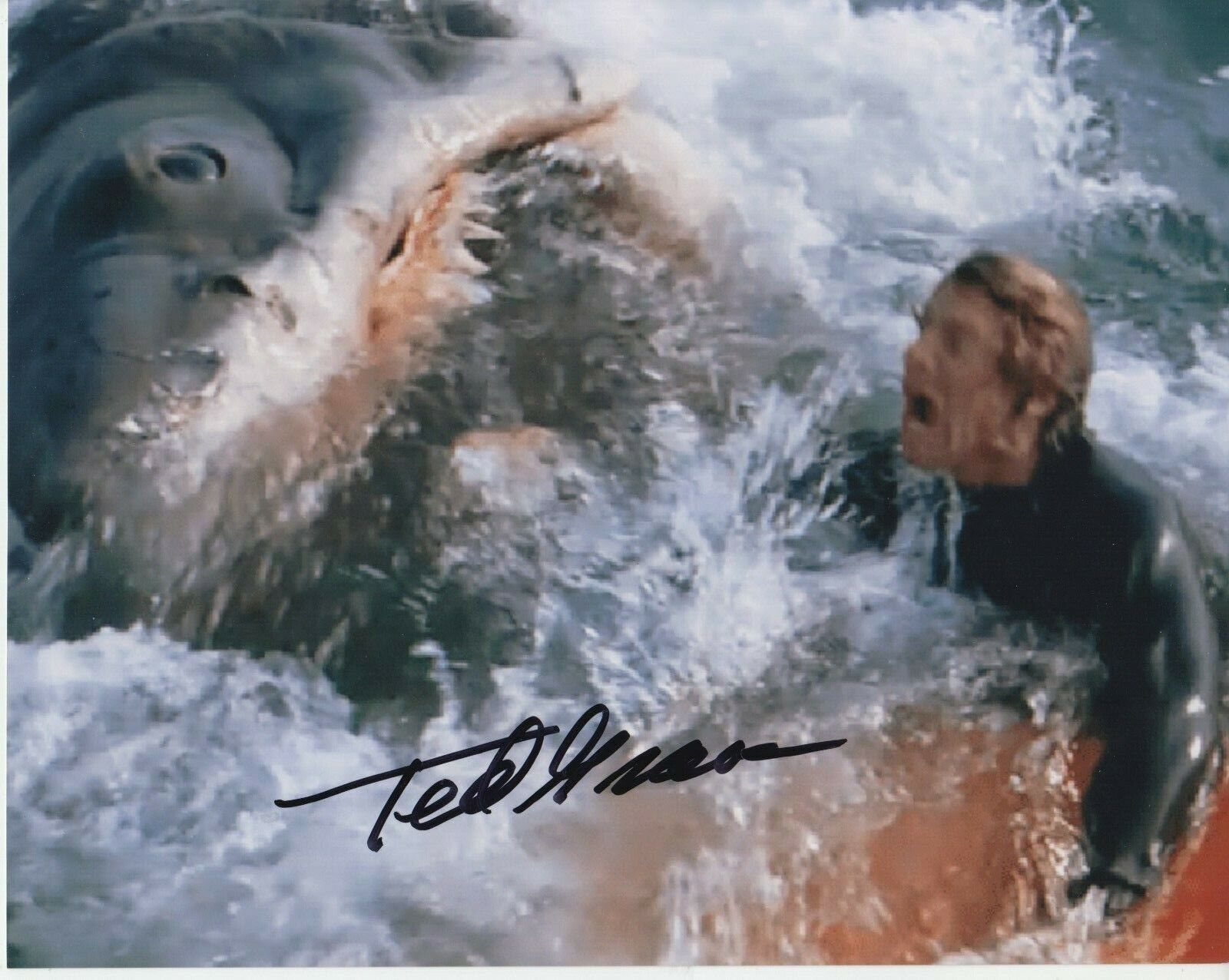 Ted Grossman (Jaws) 8x10 Signed Photo Poster painting w/ COA Actor #1