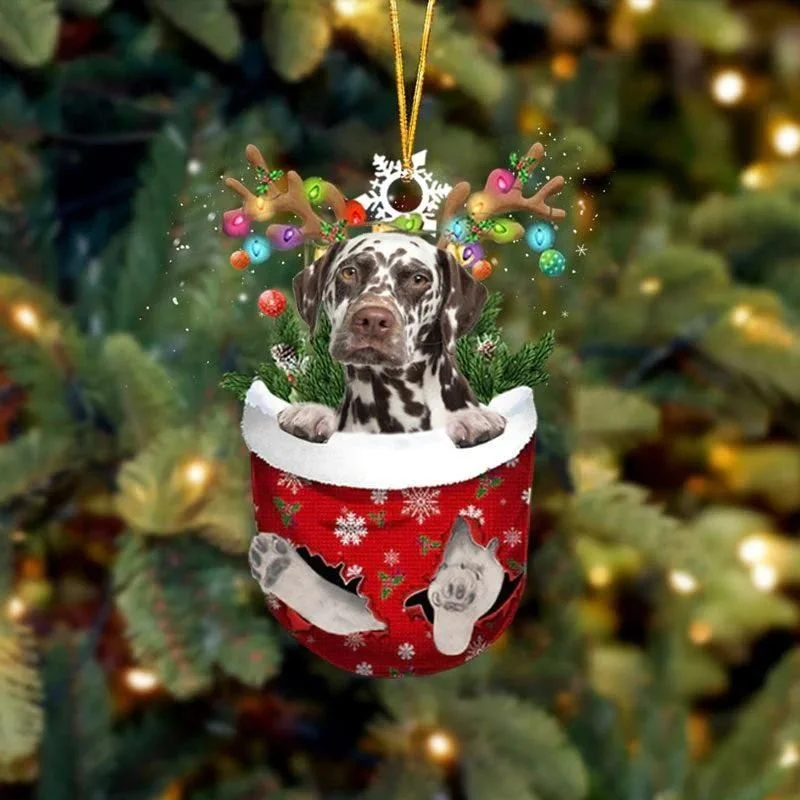 VigorDaily Brown Dalmatian In Snow Pocket Christmas Ornament SP136