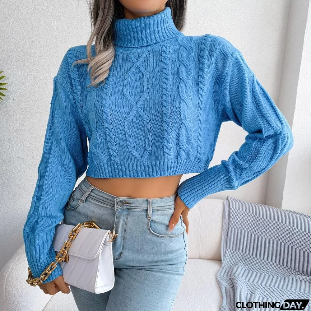 Mixed Knit Turtleneck Cropped Sweater