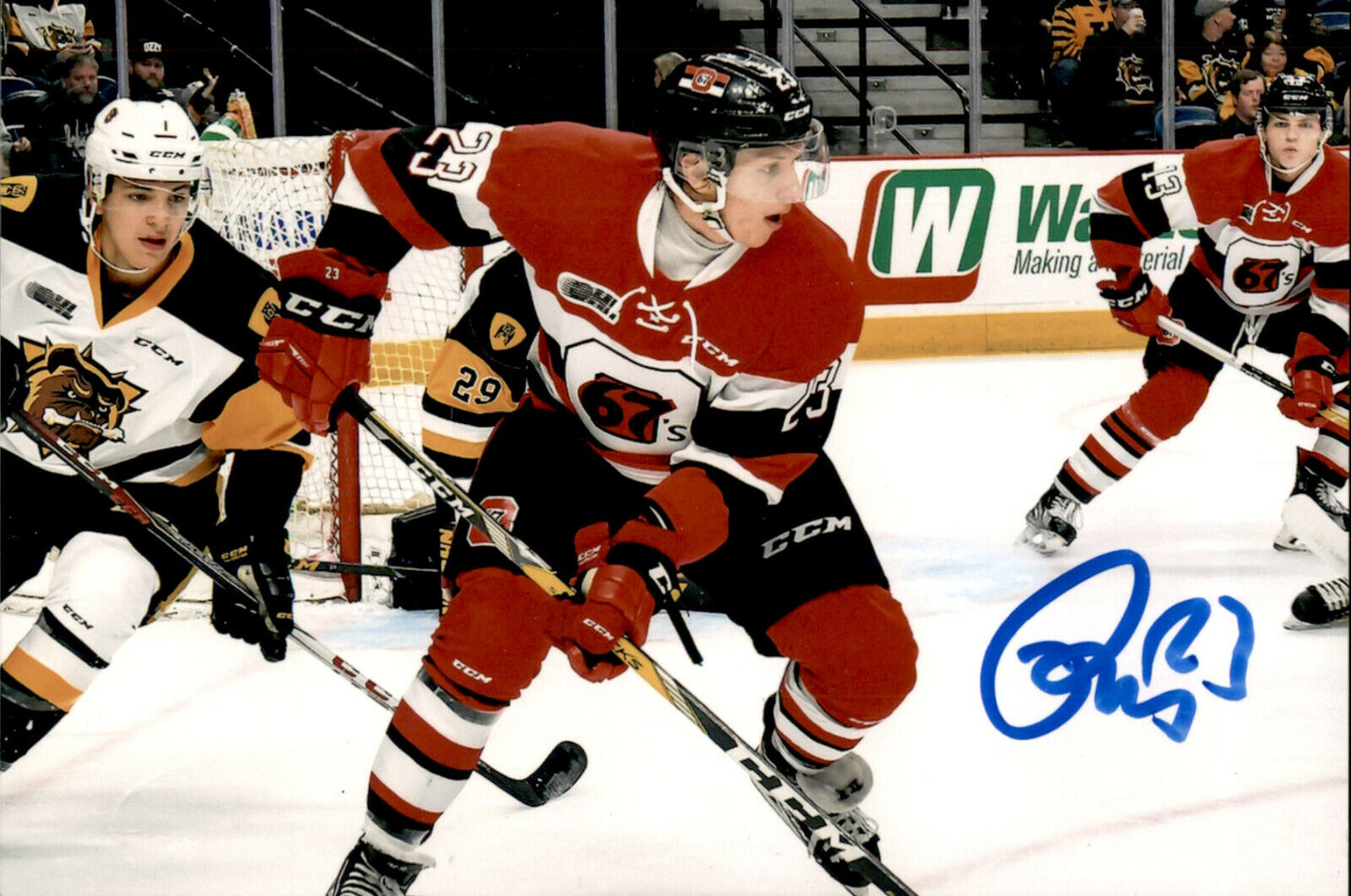 Marco Rossi SIGNED autographed 4x6 Photo Poster painting OTTAWA 67'S / MINNESOTA WILD #3