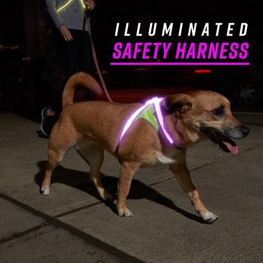 🔥50% OFF🔥LightHound Rechargeable Lighted Harness.
