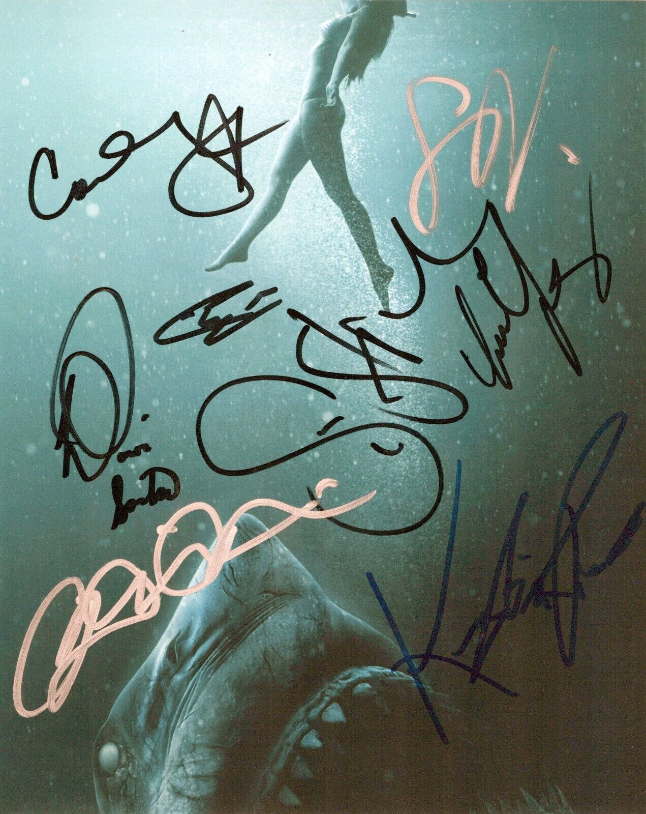 47 Meters Down Uncaged autographed Photo Poster painting signed 8x10 #1 autos of 8 people