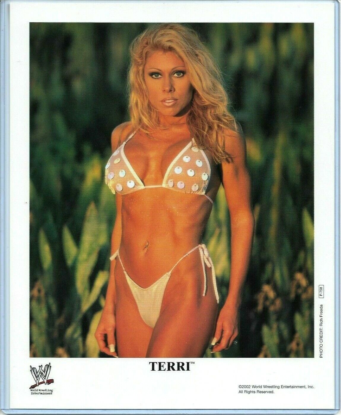 WWE TERRI P-758 OFFICIAL LICENSED AUTHENTIC ORIGINAL 8X10 PROMO Photo Poster painting VERY RARE