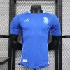 2024 Player Argentina Soccer Jersey Away