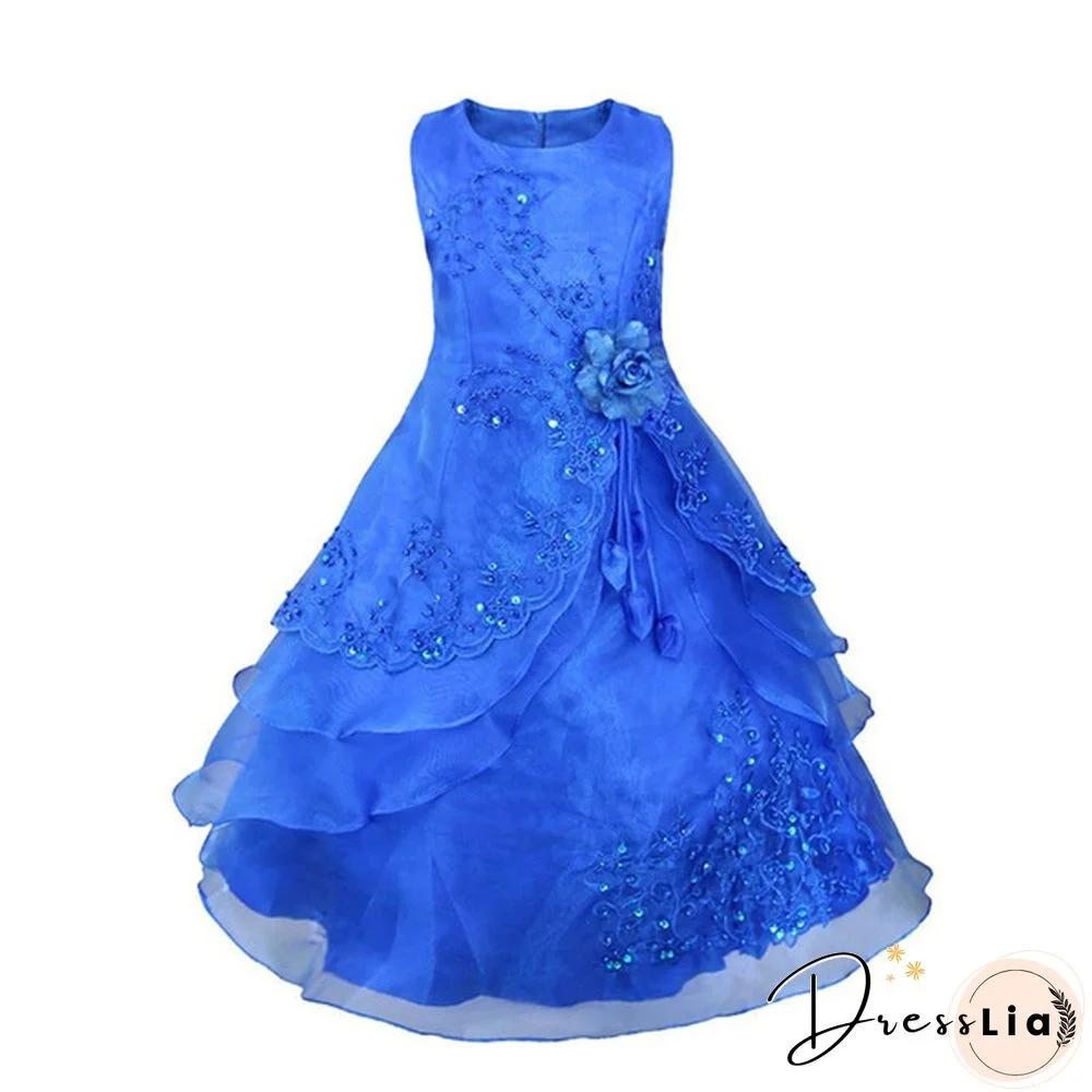 Embroidered Flower Girl Dress Kids Pageant Party Wedding Bridesmaid Ball Gown Prom Princess Formal Occassion Long Tutu Dress 2-14Y