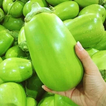 Green Can Eggplant Seeds