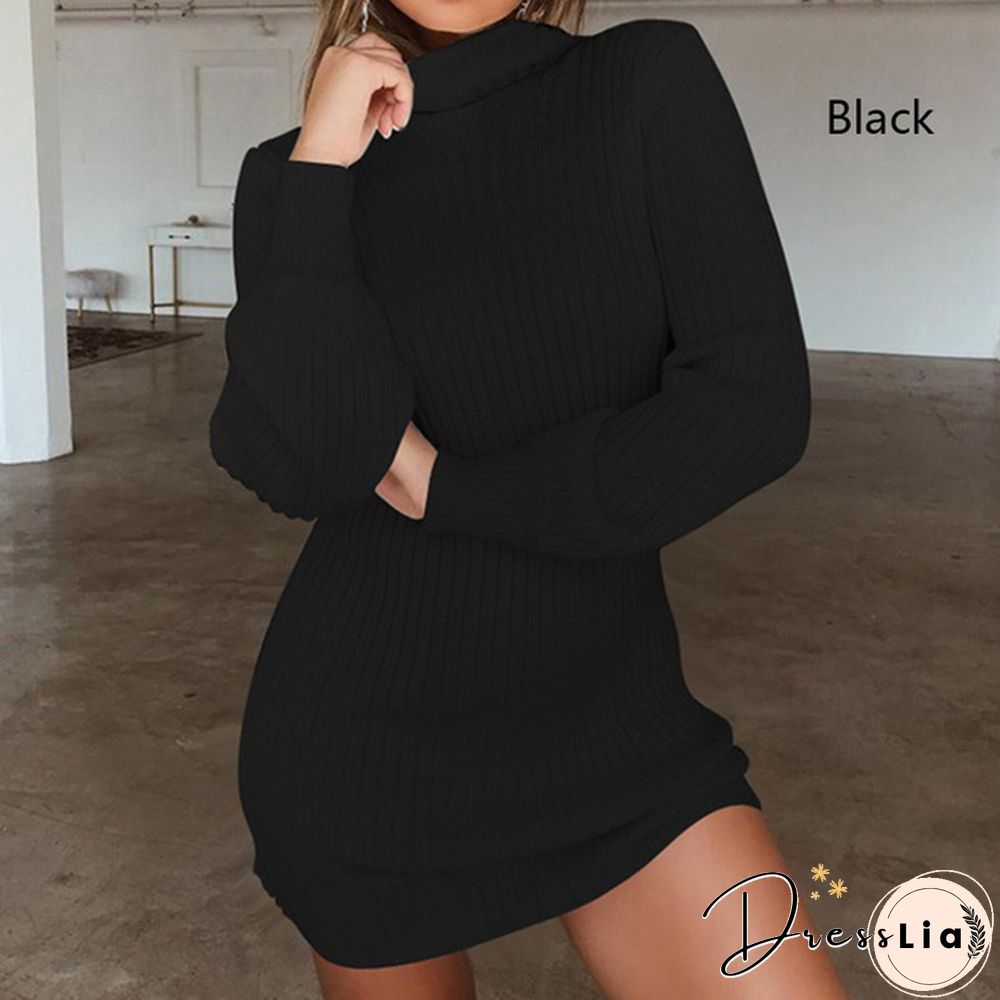 Women Autumn and Winter Long Sleeve Knitted Sweater Dress Ladies Fashion Keep Warm Knitting High Collar Slim Fit Bottoming Mini Knitting Dress