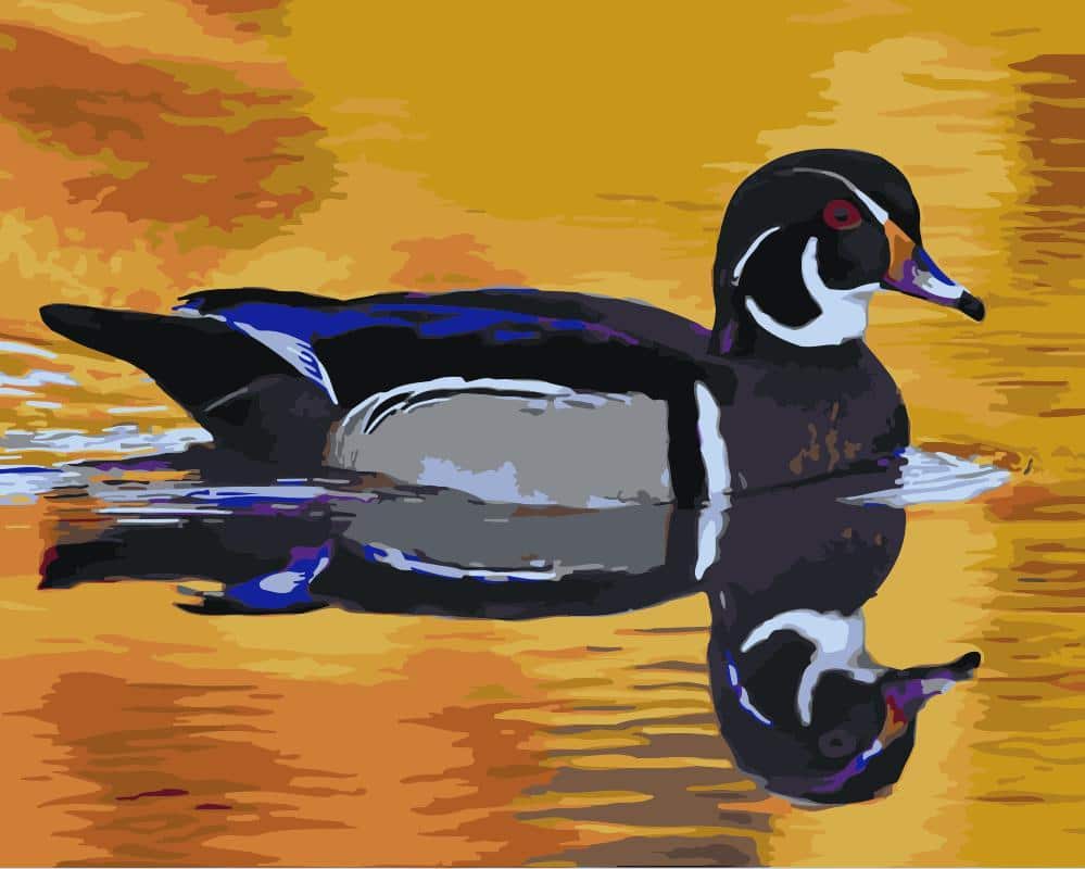 

Duck Reflection in The Lake – Paint By Numbers - 40*50CM, 501 Original