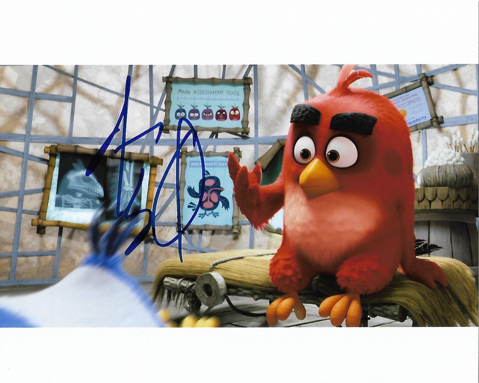 JASON SUDEIKIS ANGRY BIRDS AUTOGRAPHED Photo Poster painting SIGNED 8X10 #5 RED