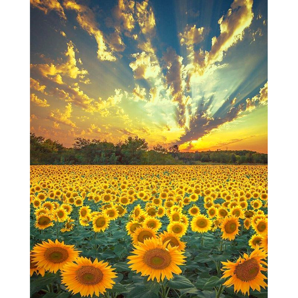 Sunflowers - Full Round Diamond Painting 30x40cm
