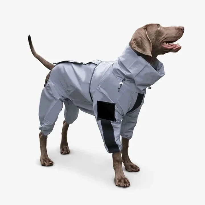 💥Black Friday Sale 49% OFF🎁Reflective All-weather Waterproof Dog Rain Coat