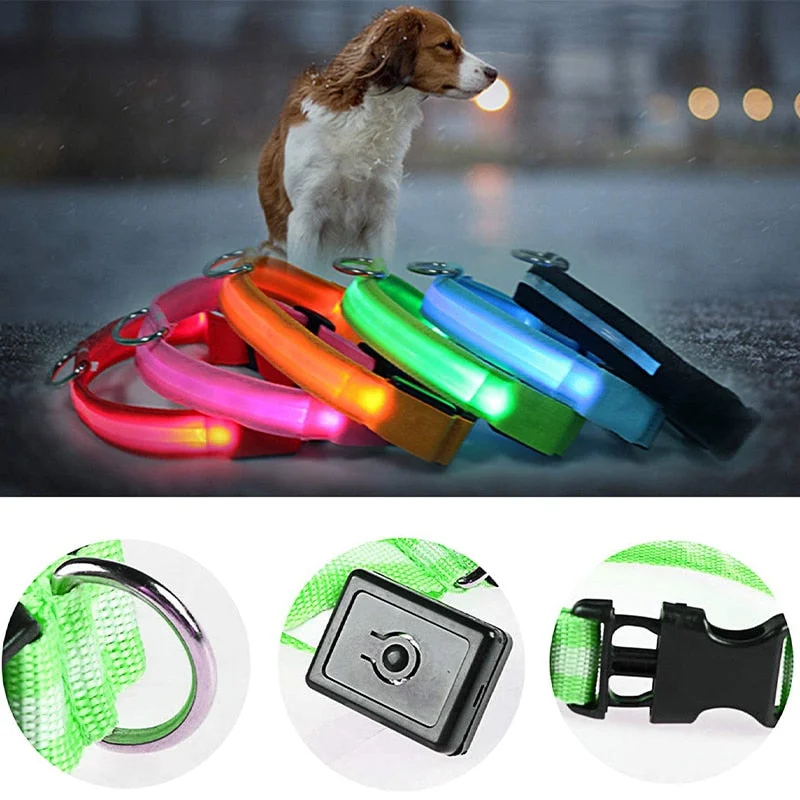 USB Rechargeable Pet LED Glowing Collar