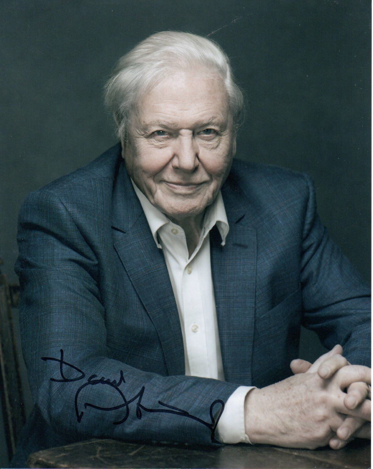 David Attenborough HAND Signed 10x8' Photo Poster paintinggraph Naturalist Broadcaster Autograph