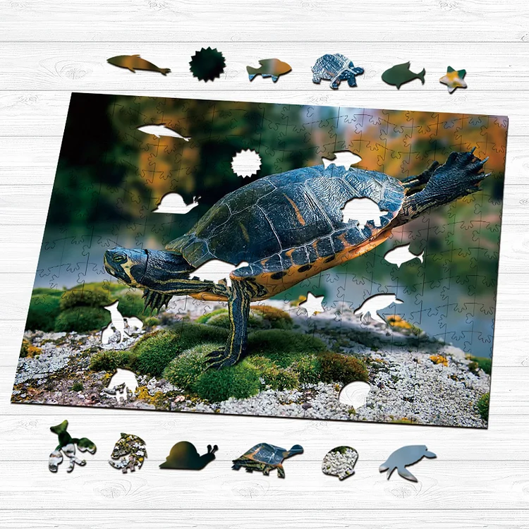 Ericpuzzle™ Ericpuzzle™Brazilian Turtle Wooden Puzzle