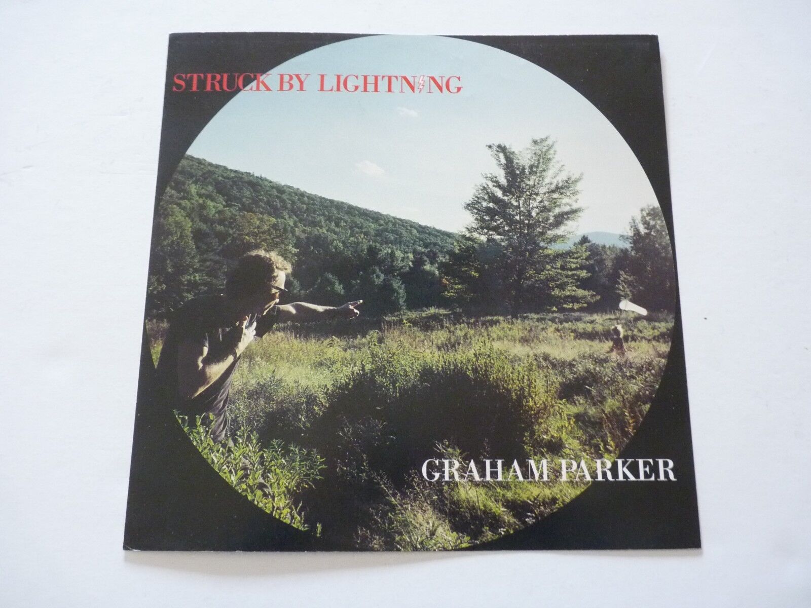 Graham Parker Struck By Lightning 1991 LP Record Photo Poster painting Flat 12x12 Poster