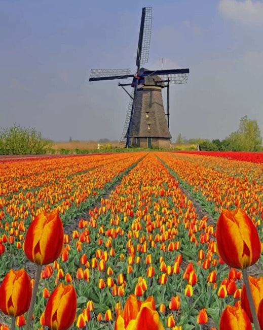 

Kinderdijk Netherlands – Paint By Numbers - 40*50CM, 501 Original