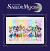 Sailor Moon 30th Anniversary Decoration Painting - Sailor Moon Decorative Painting - Mystical Art Studios
