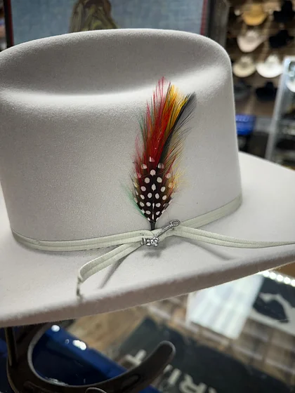Authentic Cowboy & Celebrity Hats | Timeless Western Style