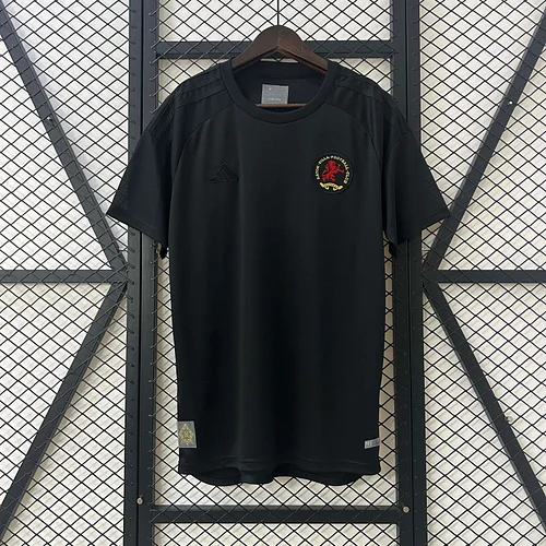 2025/2026 Aston Villa 125th Anniversary Edition Football Shirt 1:1 Thai Quality