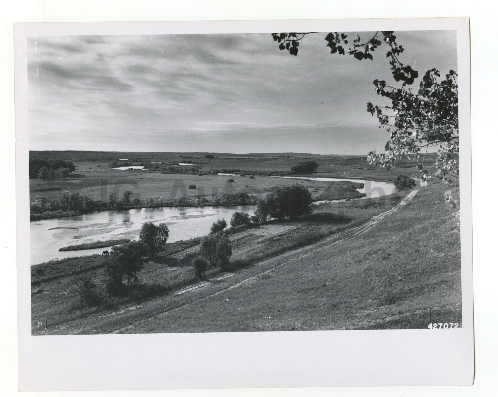 Nebraska History - Vintage 8x10 Photo Poster painting by Jay Higgins - North Loup River, 1943