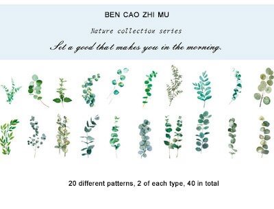 JOURNALSAY 40 Pcs Nature Plants Flowers Mushrooms Journal Decoration PET Sticker Pack DIY Scrapbooking