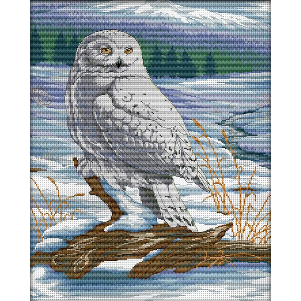 DIY Stamped Cross Stitch 14CT Full Embroidery 41*54cm - Snow Sculpture