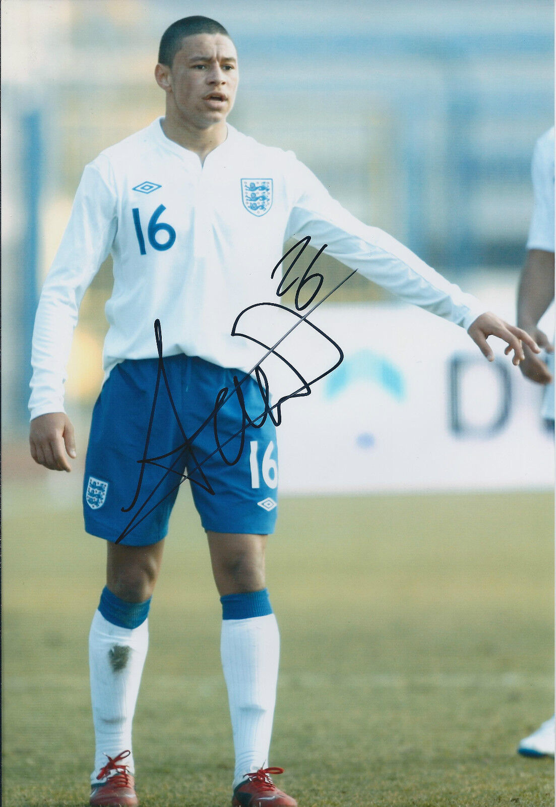 Alex OXLADE-CHAMBERLAIN Signed Autograph 12x8 Photo Poster painting AFTAL COA Arsenal