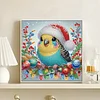 Diamond Painting - Partial Special Shaped Drill - Winter Parrot(Canvas|30*30cm)