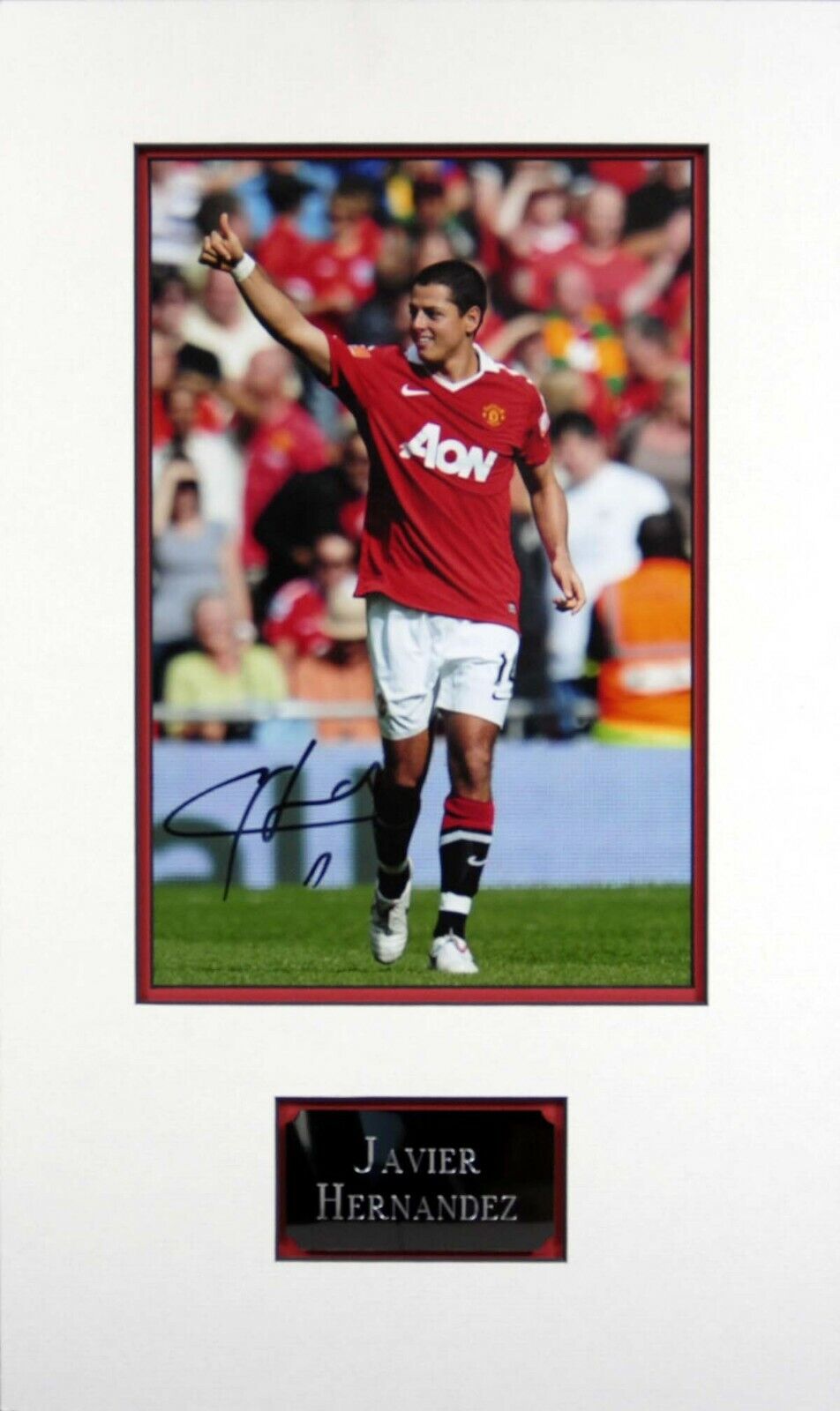 Javier HERNANDEZ Signed & Mounted Photo Poster painting AFTAL COA Manchester United Chicharito