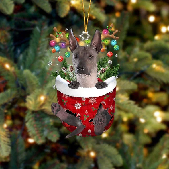 Xoloitzcuintli In Snow Pocket Christmas Ornament.