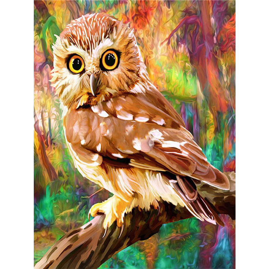 Colorful Animal Bird Owl  40*50CM(Canvas) Full Round Drill Diamond Painting gbfke