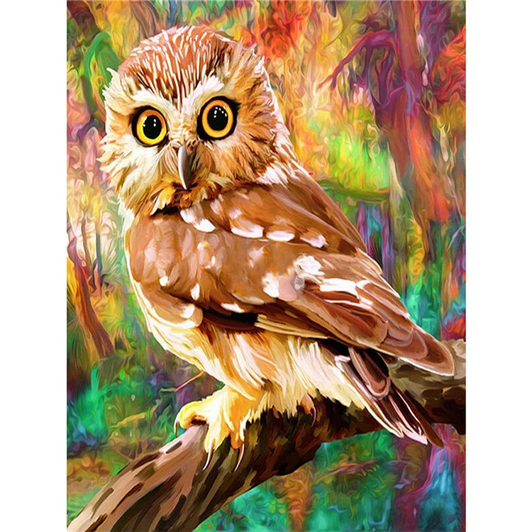 Colorful Animal Bird Owl 11CT Stamped Cross Stitch (40*50CM) gbfke