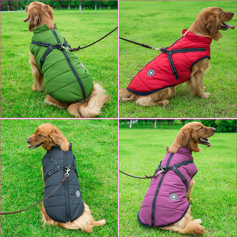 doggykings 3 in 1 jacket