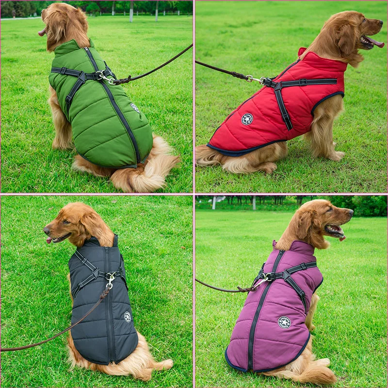 LuluPawz&trade; 3 in 1 Winter Coat