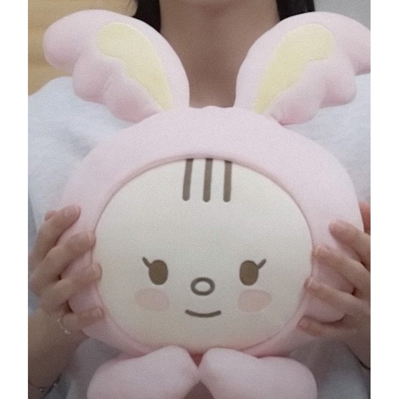 SEVENTEEN JEONGHAN Artist Made Collection PLUFFY TORAM