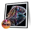 (Box Packaging)Diamond Painting -DIY Round Drill Squid