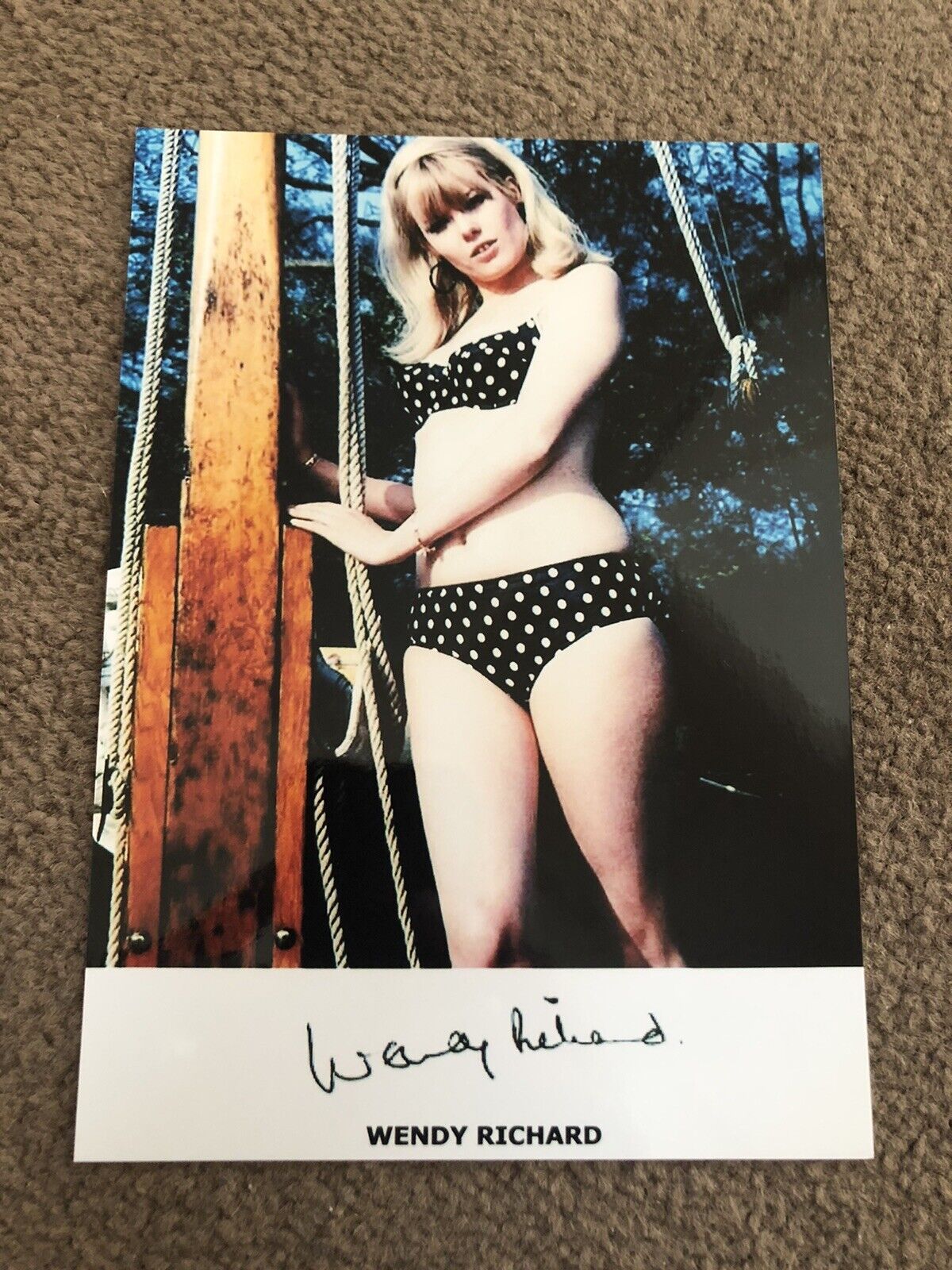 WENDY RICHARD (CARRY ON) PRESIGNED Photo Poster painting- 7x5”