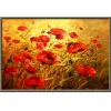 Poppy flower | Full Round Diamond Painting Kits