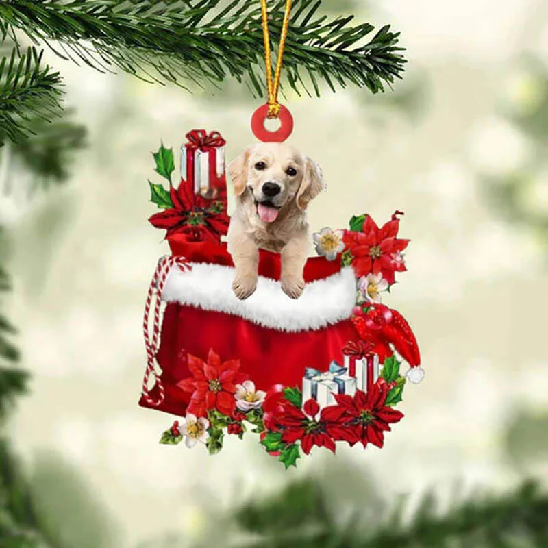 VigorDaily Golden Retriever In Gift Bag Christmas Ornament GB072